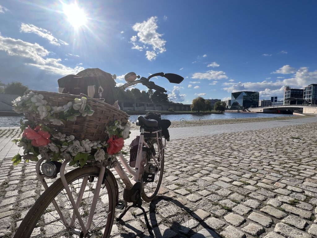 Spreebogen in Berlin: Für Fahrradfahrer ist der Bezirk Mitte gut ausgebaut