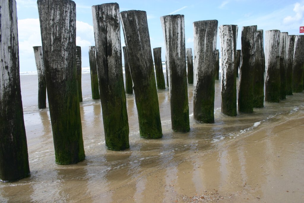 Buhnen am Nordseestrand bei Ebbe in Domburg