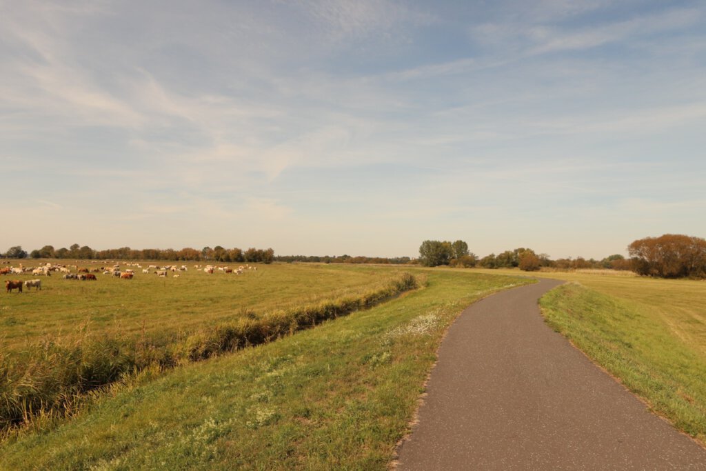 Havelradweg auf dem Deich in der Nähe von Phöben, einem Ortsteil von Werder (Havel) in Potsdam-Mittelmark