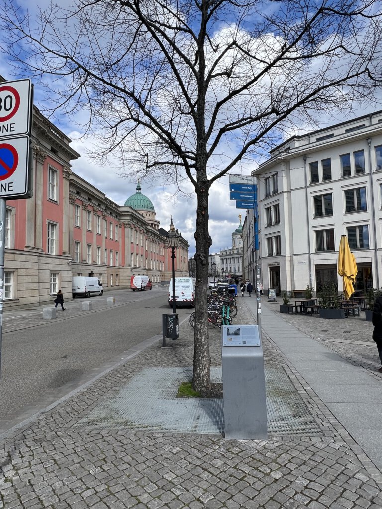 Bittschriftenlinde neben dem Stadtschloss in Potsdam in Anlehnung an die Zeit Friedrichs des Großen.