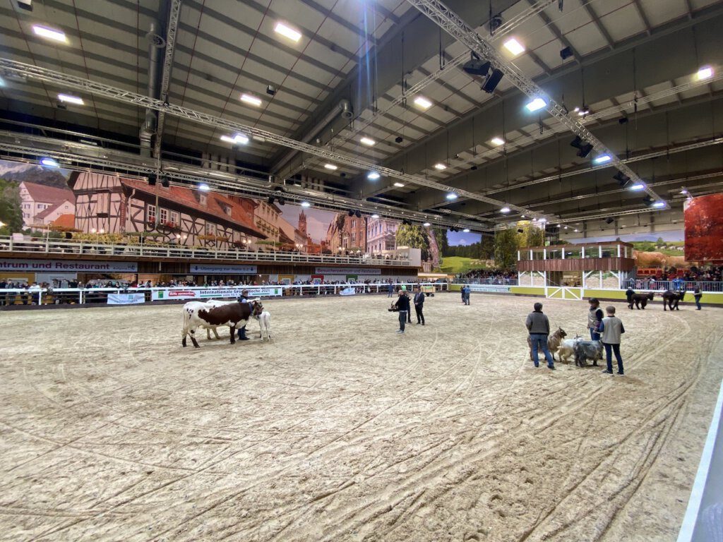 Grüne Woche in Berlin: Arena in der Tierhalle