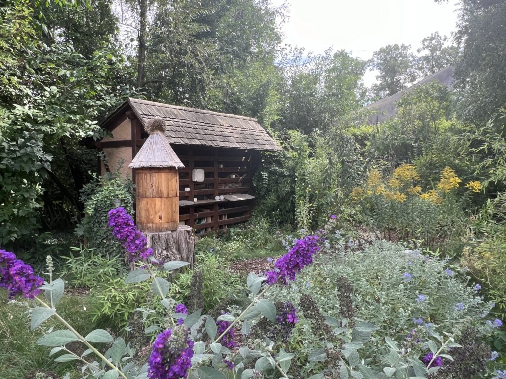 Wildbienen im Zoo Leipzig