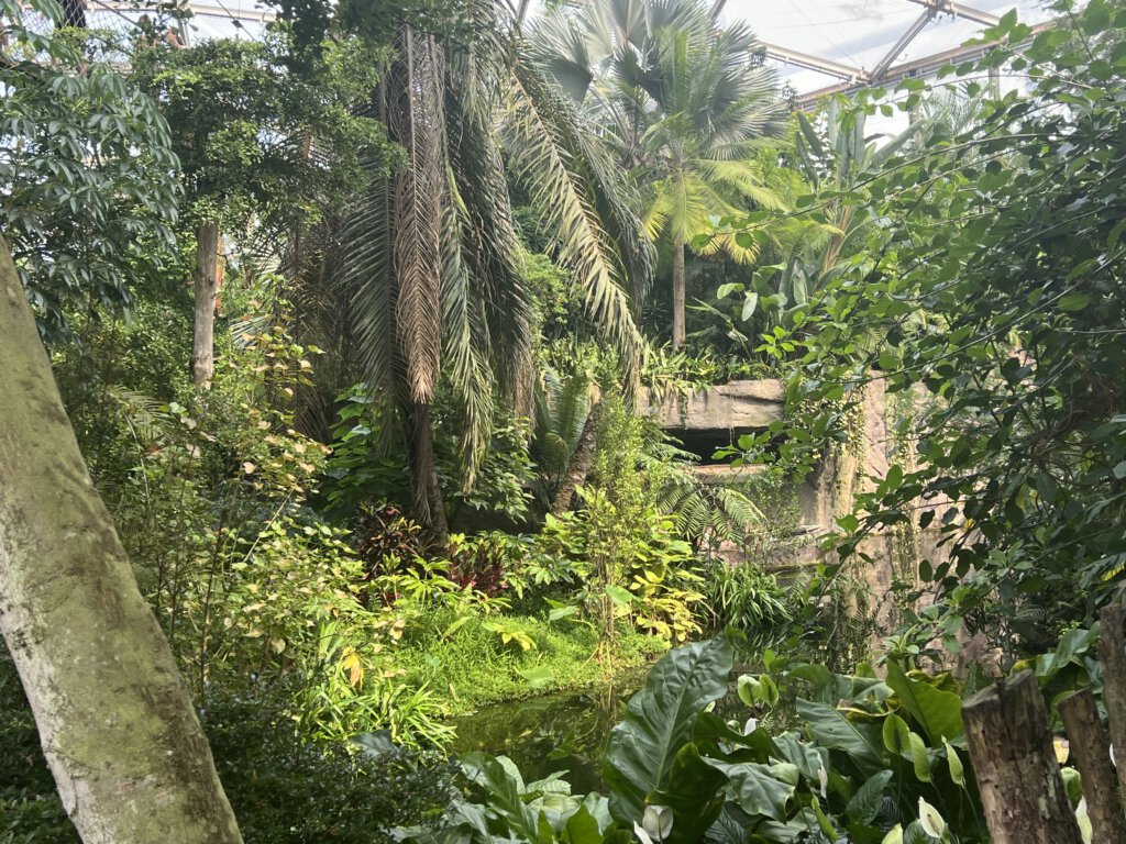 Gondwanaland Zoo Leipzig