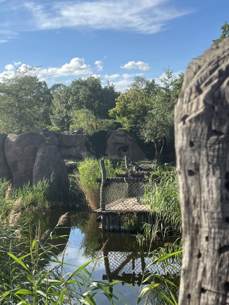 Zoo Leipzig. Hyänen-Gehege