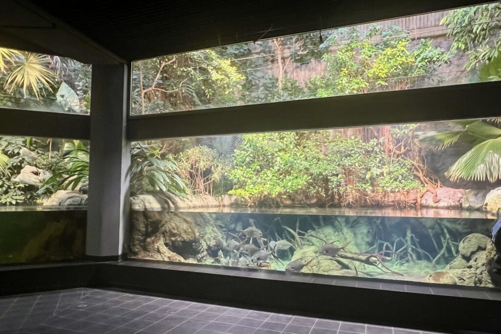 Große bepflanzte Becken im Aquarium Berlin