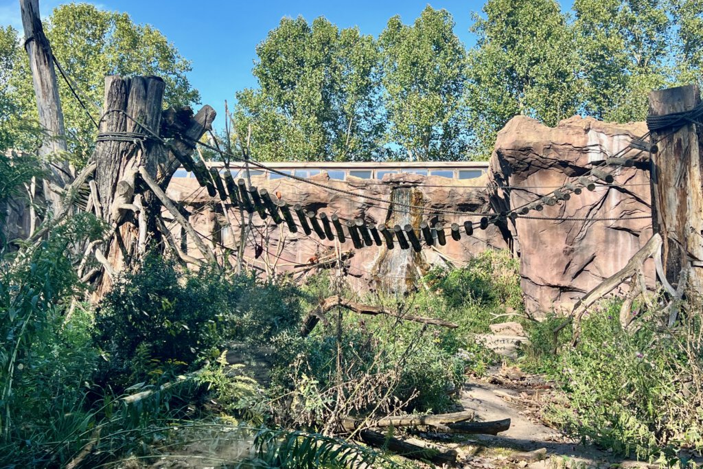 Außengehege des Affenhauses im Tierpark Berlin