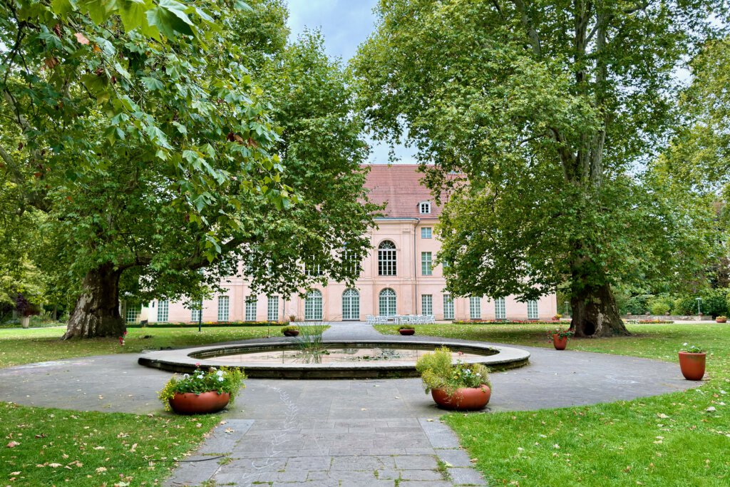 Schloss Schönhausen: Blick durch zwei mehr als 200 Jahre alte Platanen auf die Gartenseite