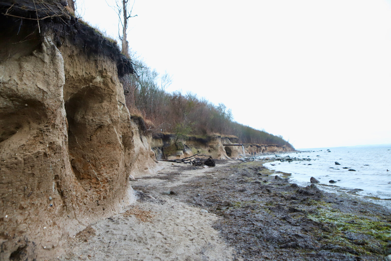 Insel Poel - 1