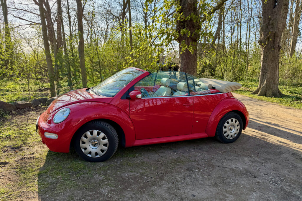 Ein rotes Beetle Cabrio mit offenem Dach auf einem Parkplatz am Rande eines Waldstücks auf der Insel Poel.