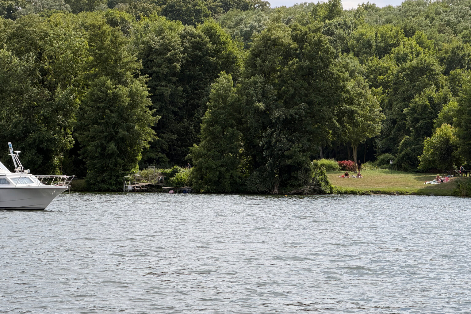 Havel im Sommer: Beobachtungen auf dem Wasser Havel im Sommer - 1 (2)