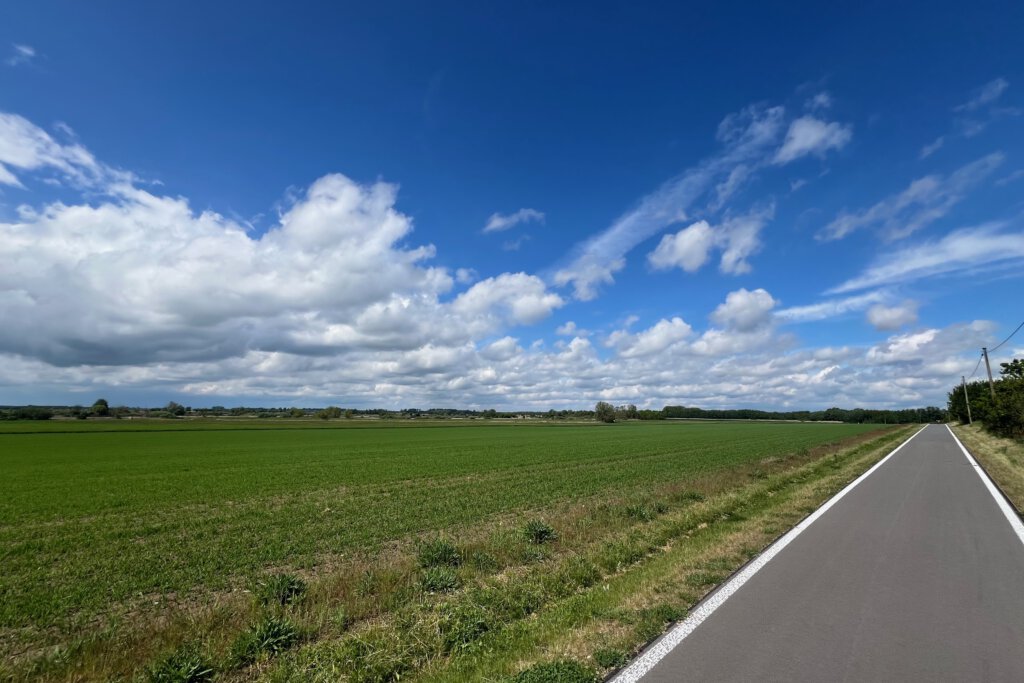 Ein schnurgerader Radweg in einer Auenlandschaft in Potsdam-Mittelmark. Am blauen Himmel weiße Wolken. Es ist der Havelradweg.